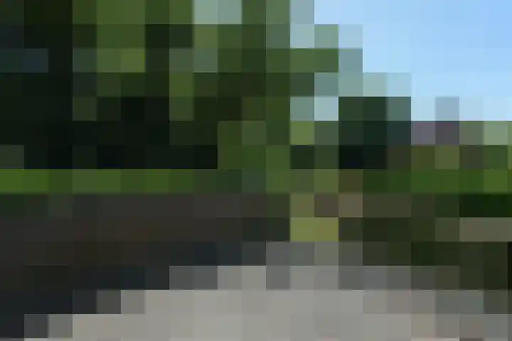Weezenhof 8369 Nijmegen thumbnail 29