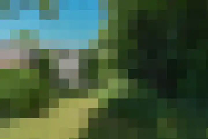 Weezenhof 8369 Nijmegen thumbnail 35