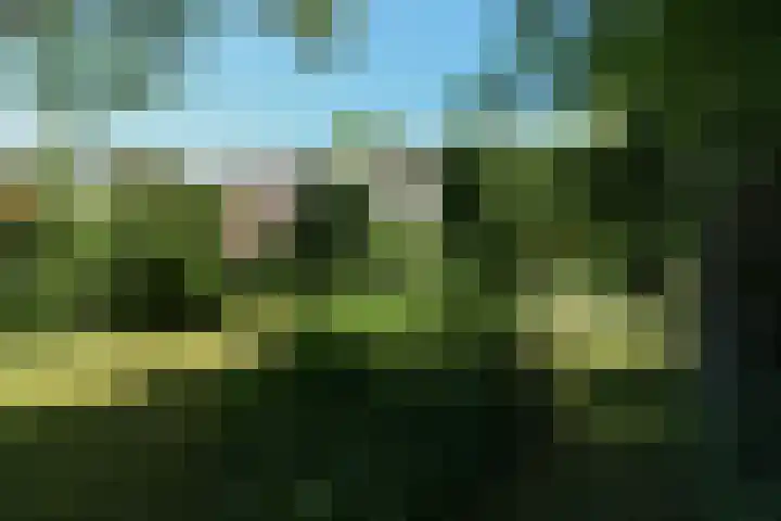 Weezenhof 8369 Nijmegen thumbnail 36