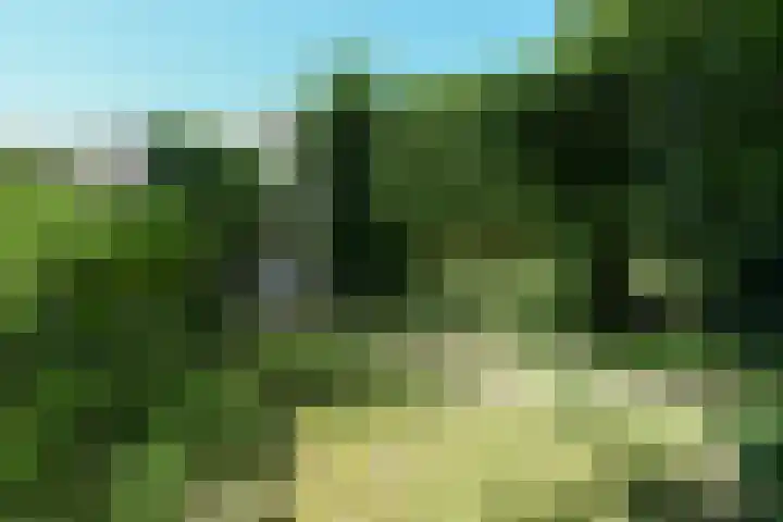 Weezenhof 8369 Nijmegen thumbnail 40
