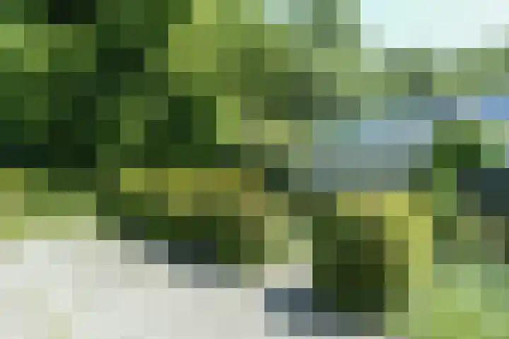 Weezenhof 8369 Nijmegen thumbnail 48