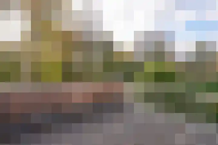 Weezenhof 8371 Nijmegen thumbnail 31