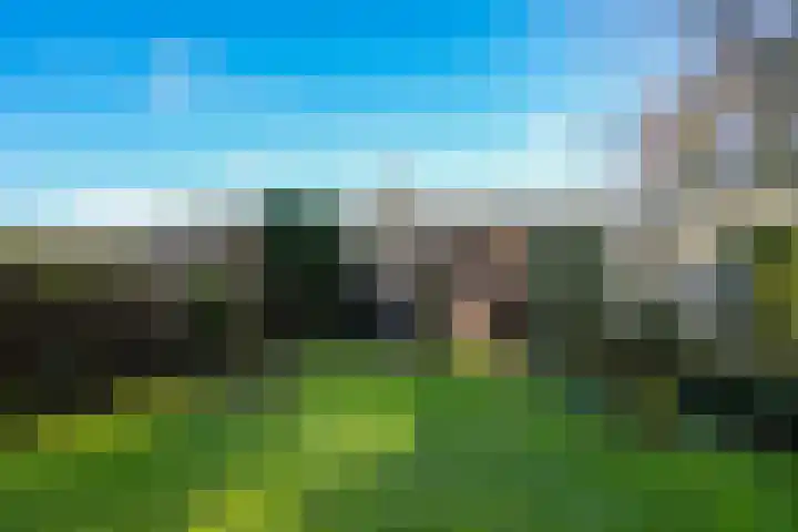 Weezenhof 8371 Nijmegen thumbnail 43