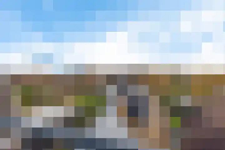Weezenland 4 B Monnickendam thumbnail 4