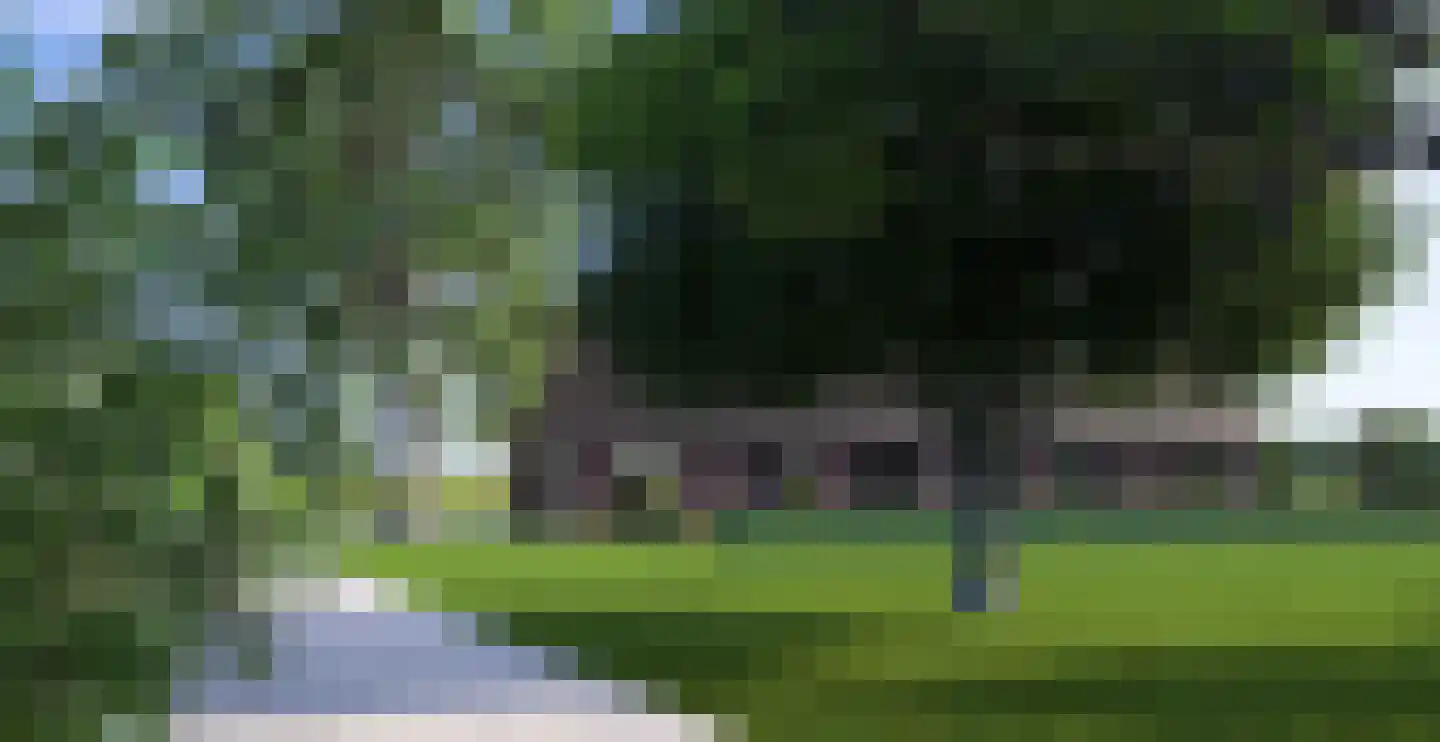 Weg door de Plas 14 A Brummen thumbnail 4