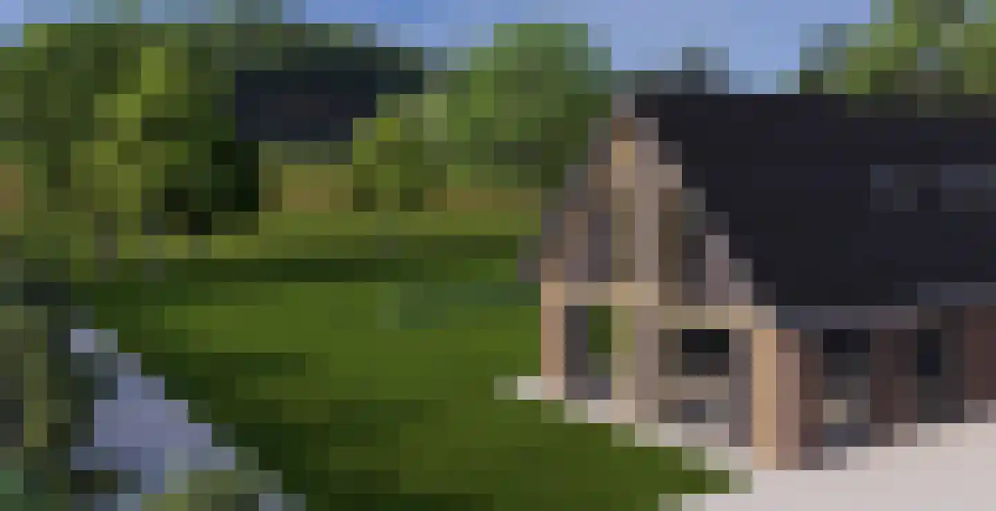 Weg door de Plas 14 A Brummen thumbnail 7