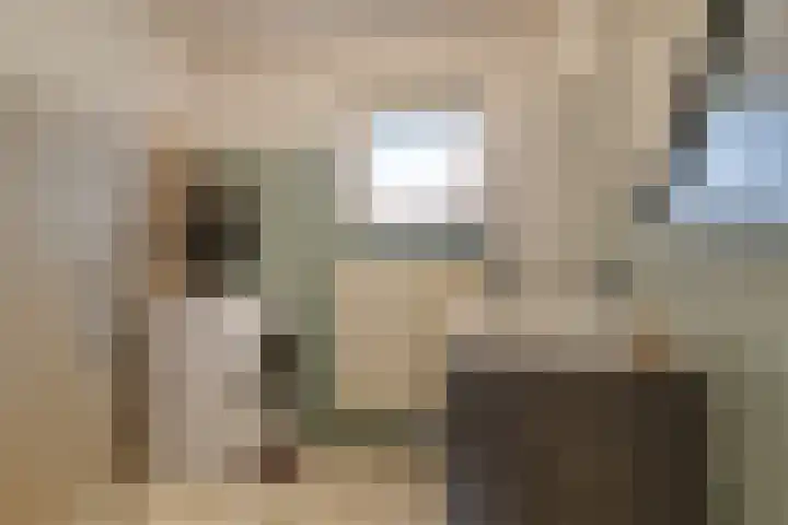 Weg door de Rijpel 101 Helmond thumbnail 29