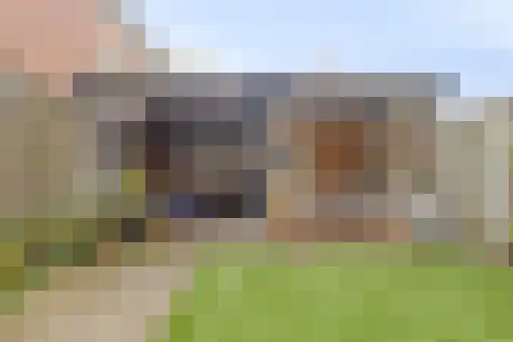 Weg door de Rijpel 101 Helmond thumbnail 32