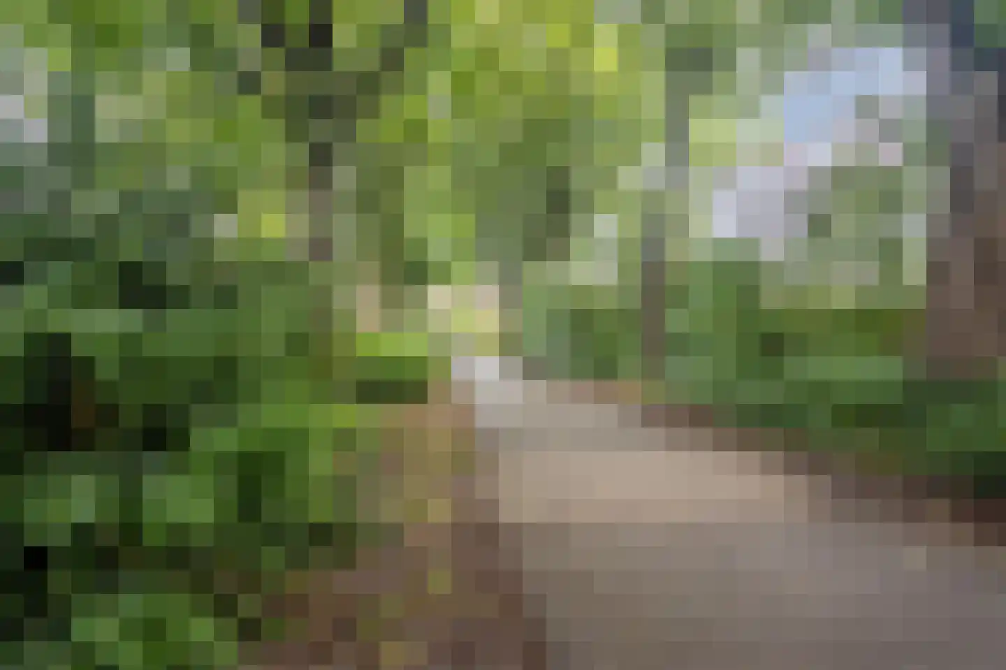 Weg door den Waterpot 29 Deventer thumbnail 48