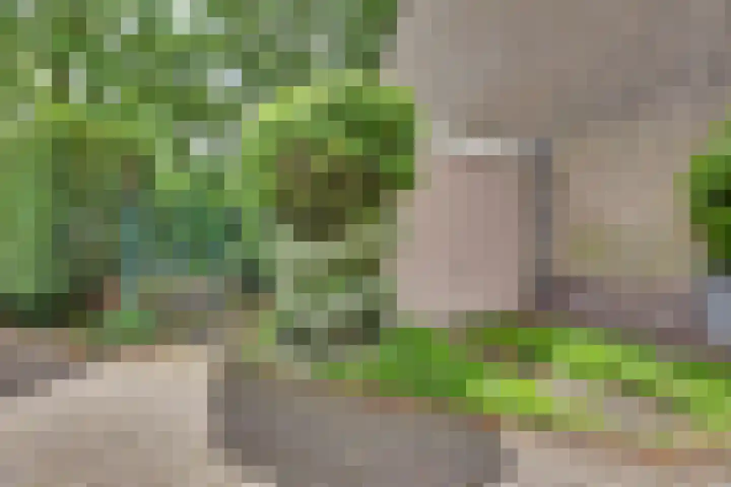 Weg door den Waterpot 61 Deventer thumbnail 35