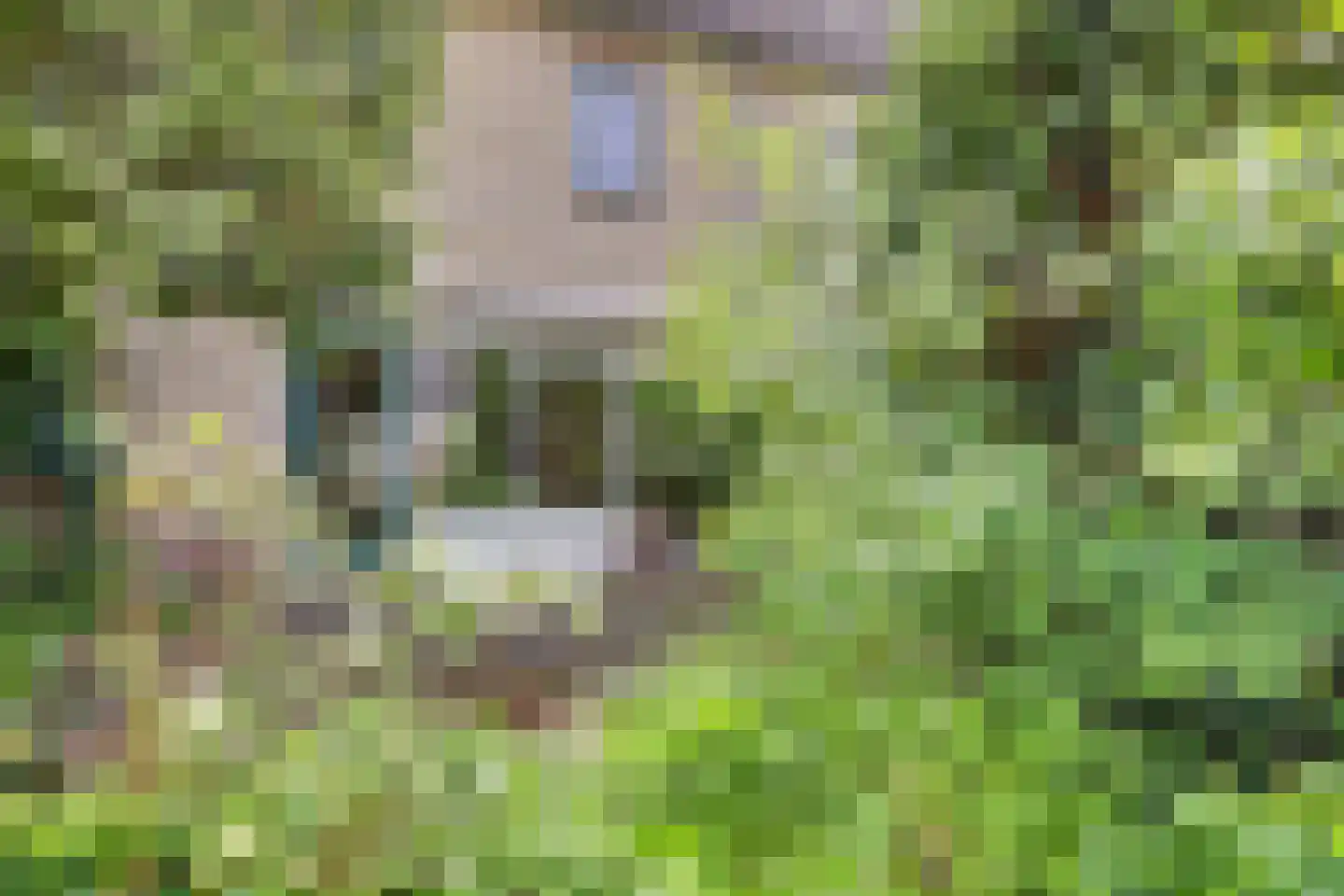 Weg door den Waterpot 61 Deventer thumbnail 36