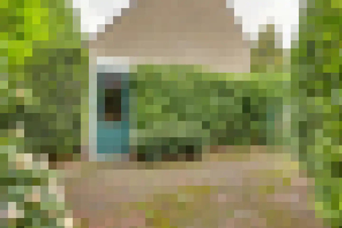 Weg door den Waterpot 61 Deventer thumbnail 41