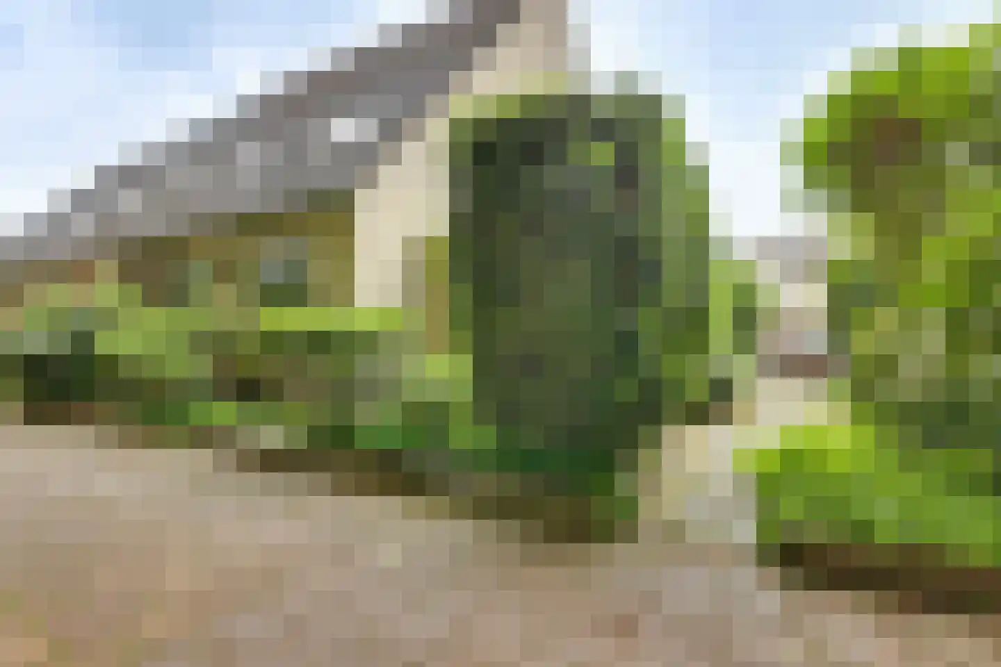 Weg door den Waterpot 61 Deventer thumbnail 7