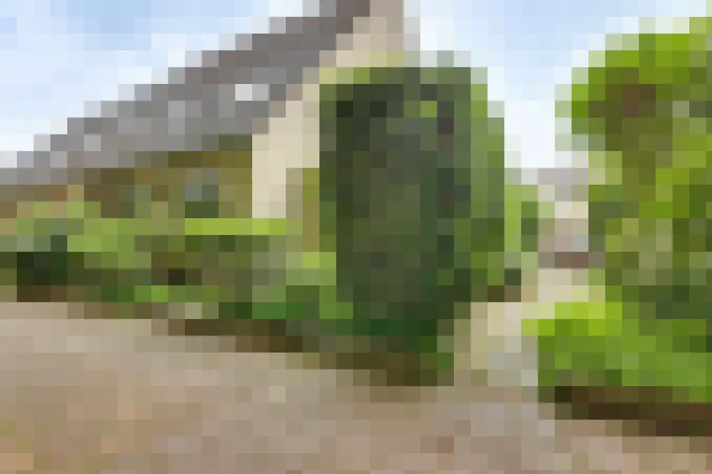 Weg door den Waterpot 61 Deventer thumbnail 7