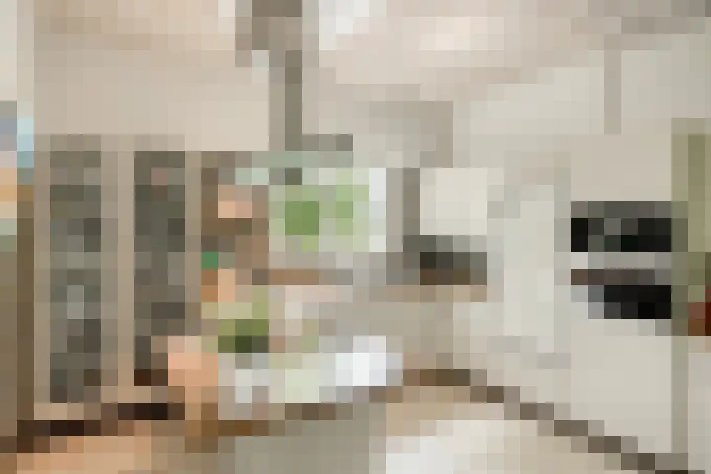 Weg langs het Hazegrietje 19 Arnhem thumbnail 14