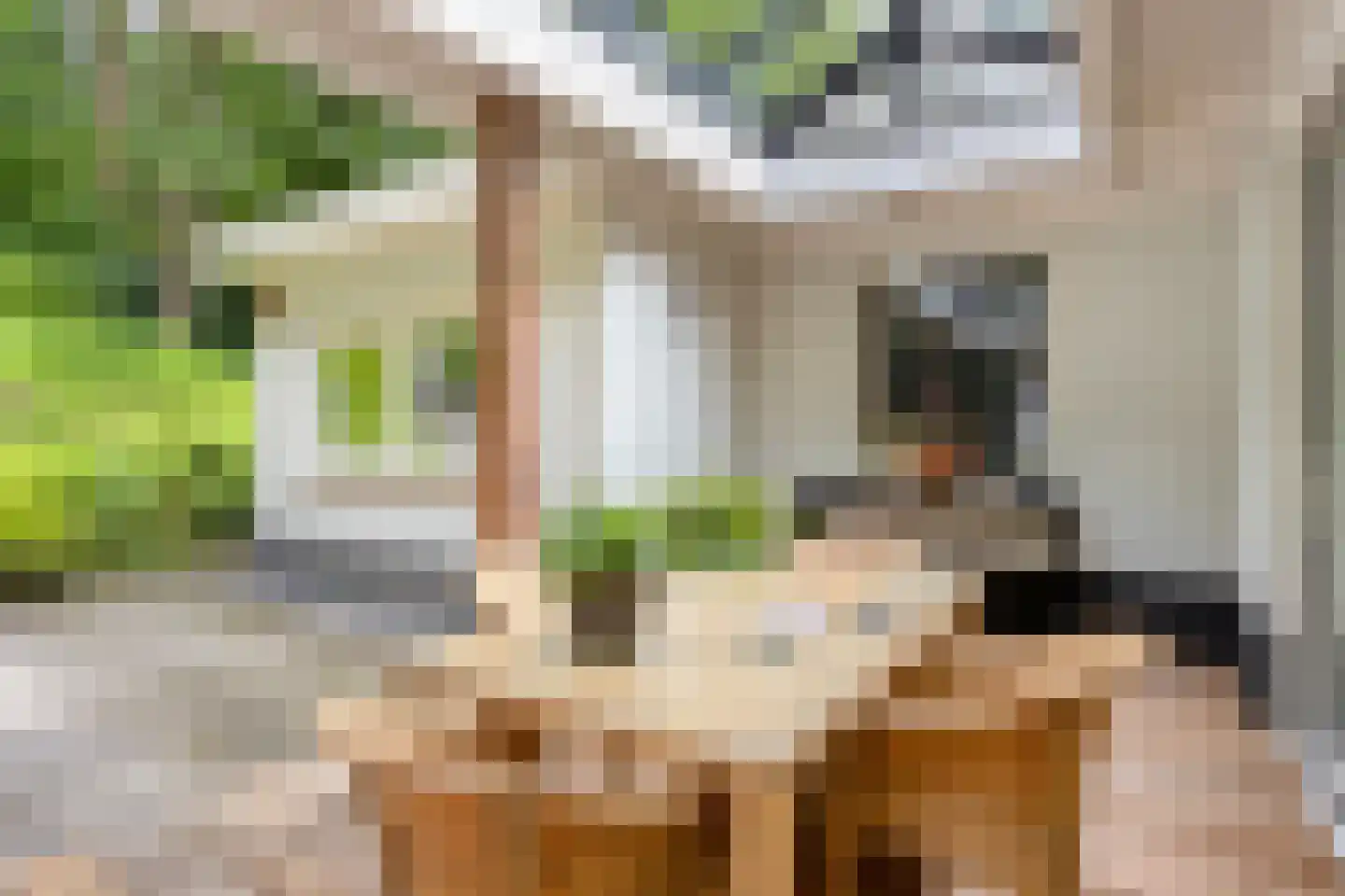 Weg langs het Hazegrietje 19 Arnhem thumbnail 20