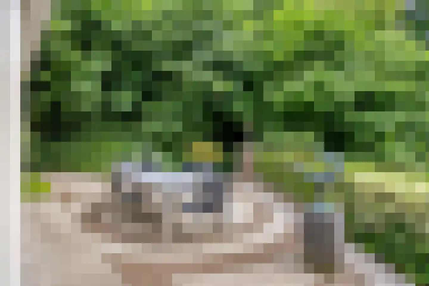 Weg langs het Hazegrietje 19 Arnhem thumbnail 23