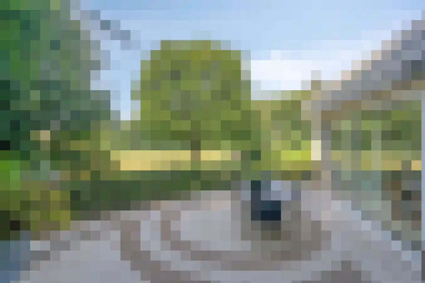 Weg langs het Hazegrietje 19 Arnhem thumbnail 24
