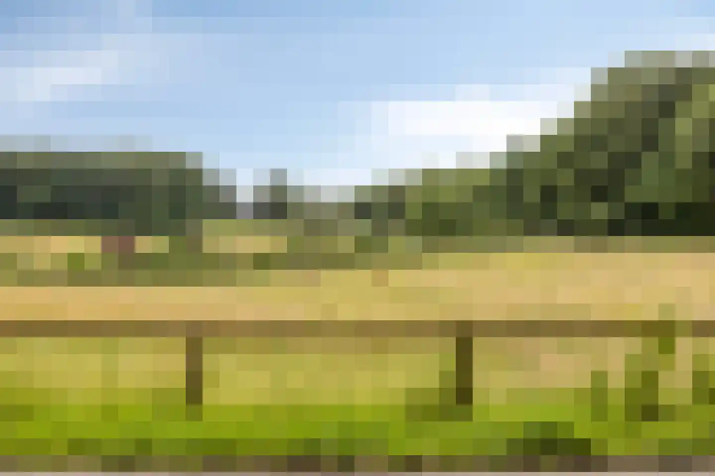 Weg langs het Hazegrietje 19 Arnhem thumbnail 28