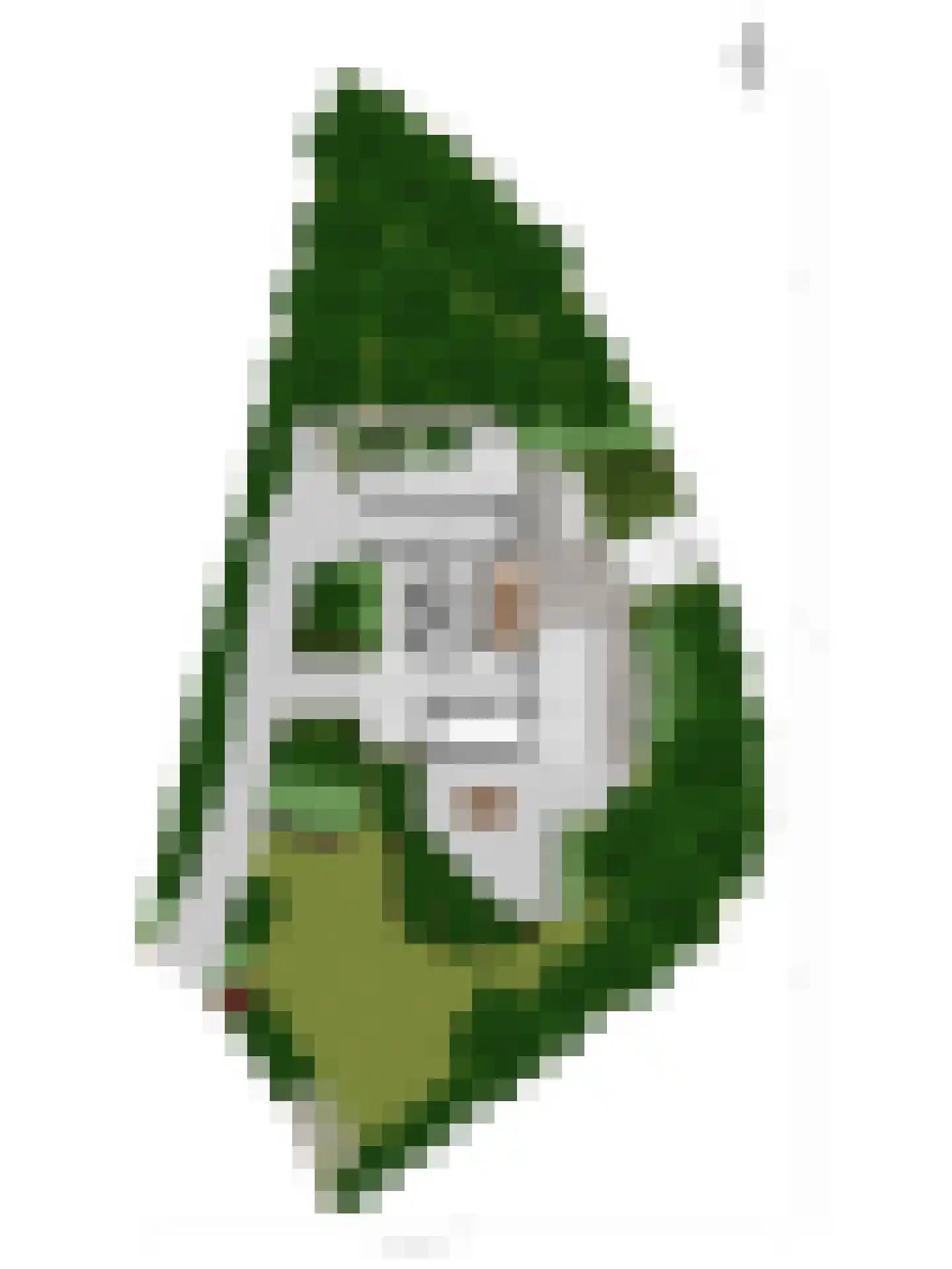 Weg langs het Hazegrietje 19 Arnhem thumbnail 31