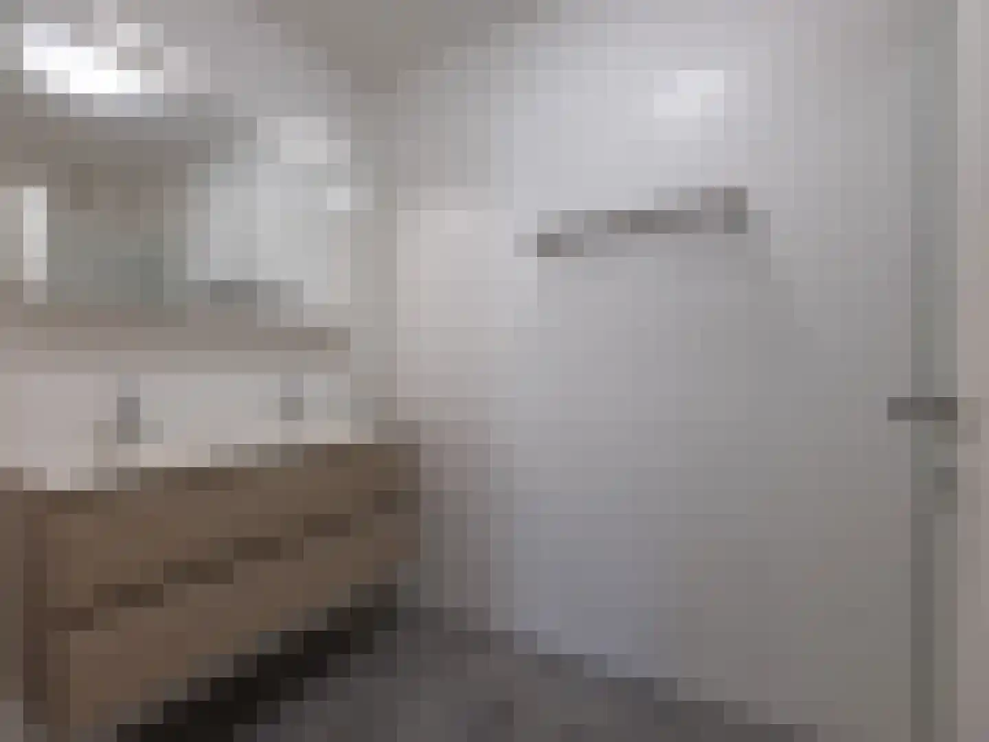 Weg naar As 148/3 3600 Genk Zwartebroek thumbnail 12