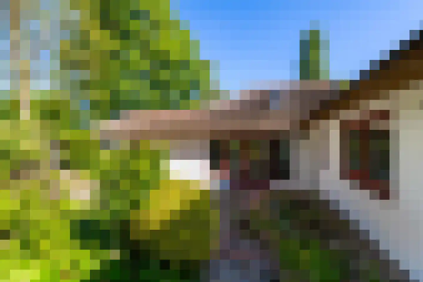Weg naar den Dam 2 Delfzijl thumbnail 32