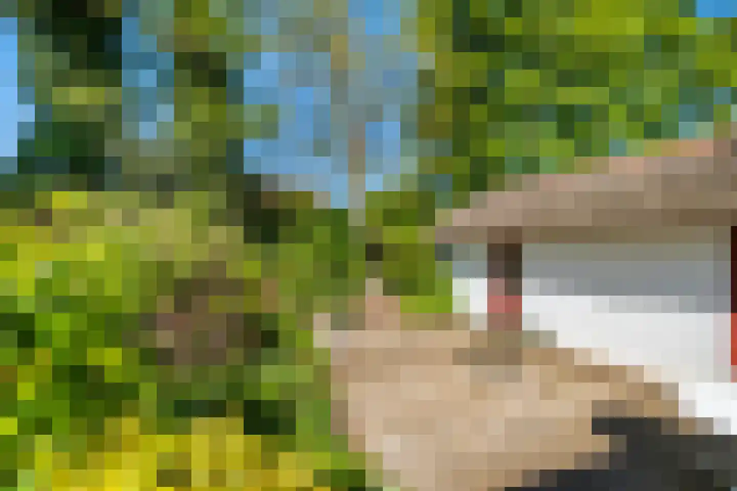 Weg naar den Dam 2 Delfzijl thumbnail 34
