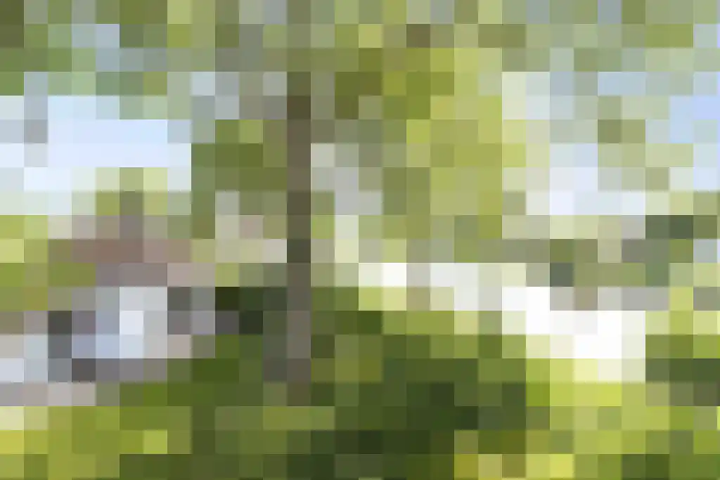 Weg naar den Dam 2 Delfzijl thumbnail 49