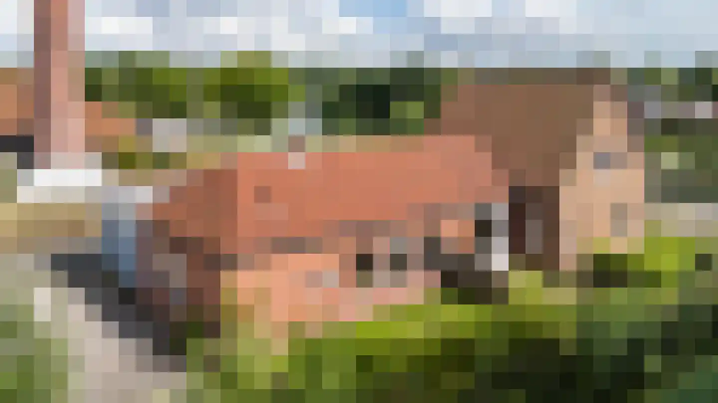 Weg naar den Dam 3 Delfzijl foto 3