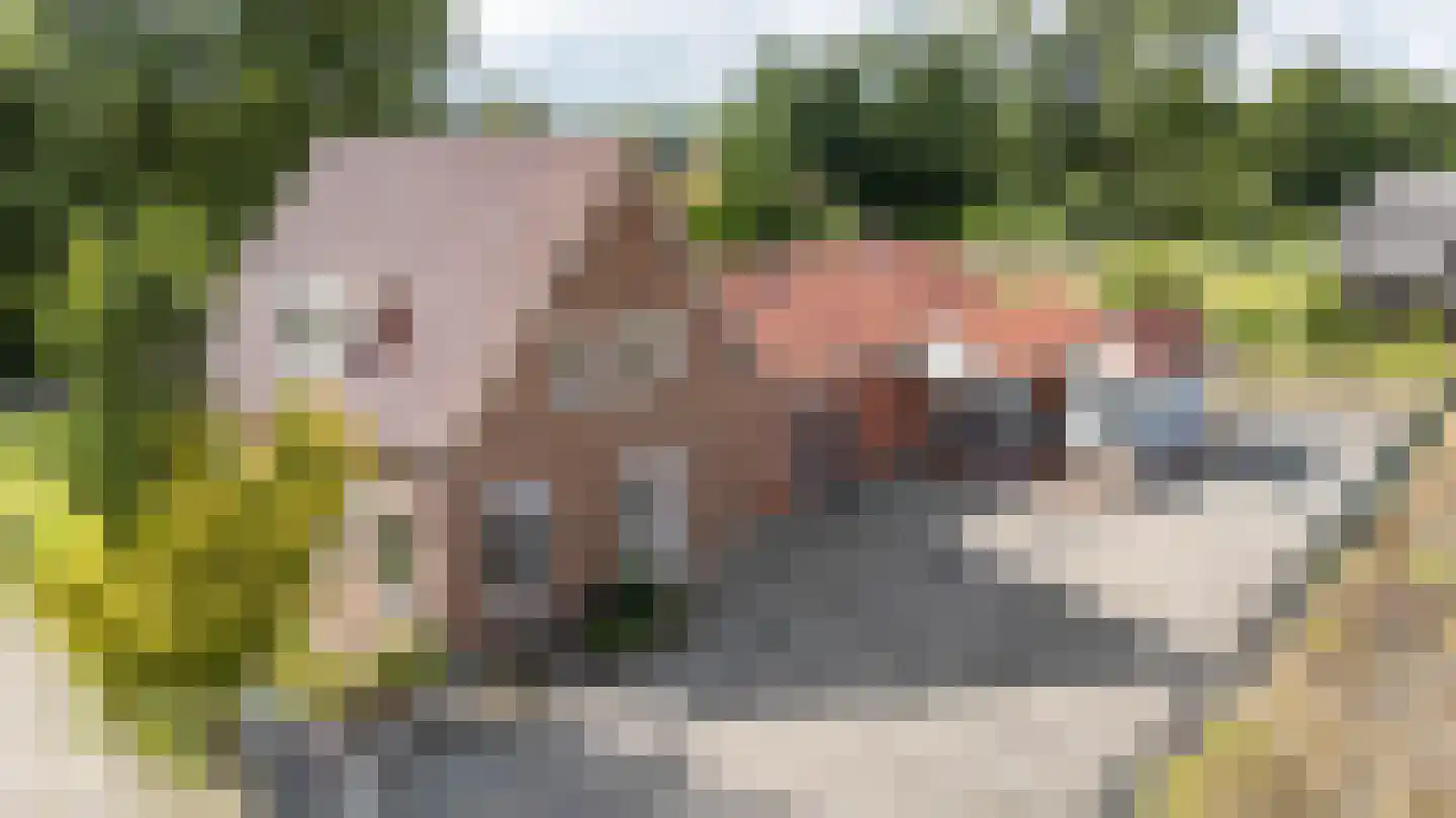 Weg naar den Dam 3 Delfzijl thumbnail 43