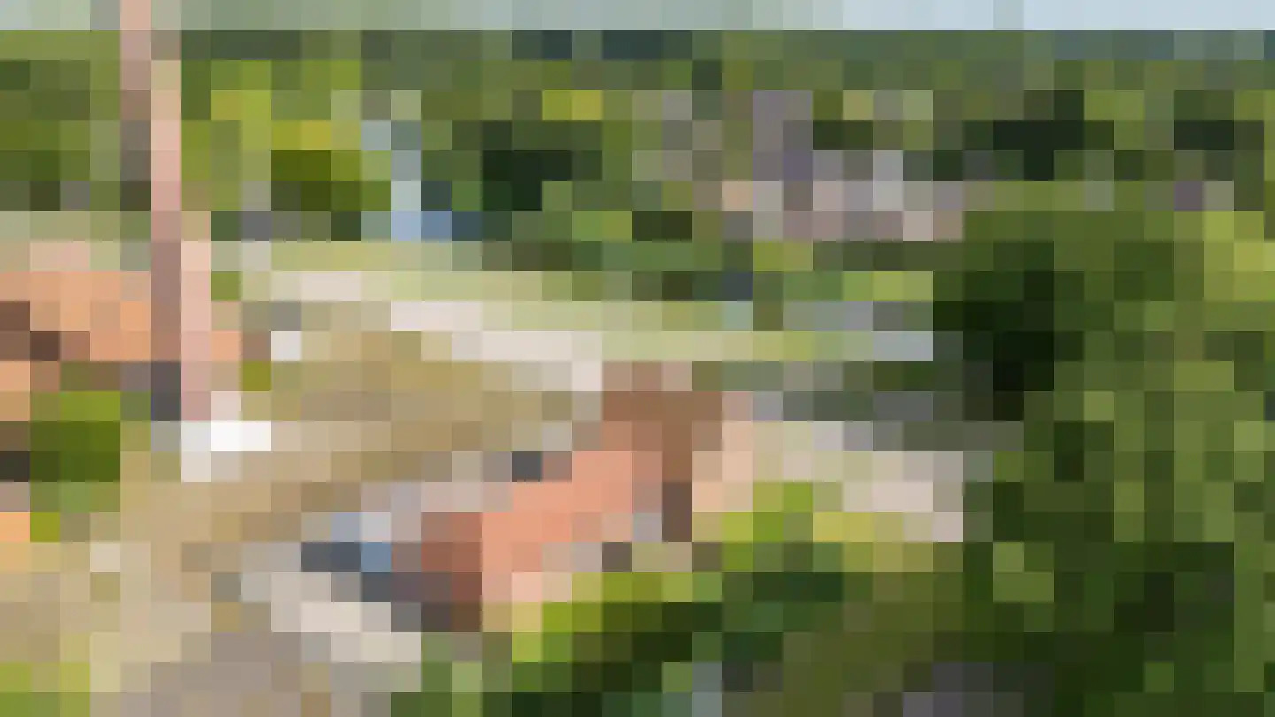 Weg naar den Dam 3 Delfzijl thumbnail 44