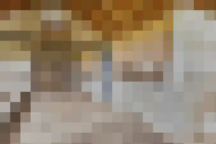 Weg naar het Ganzen Ei 10 Brummen thumbnail 10
