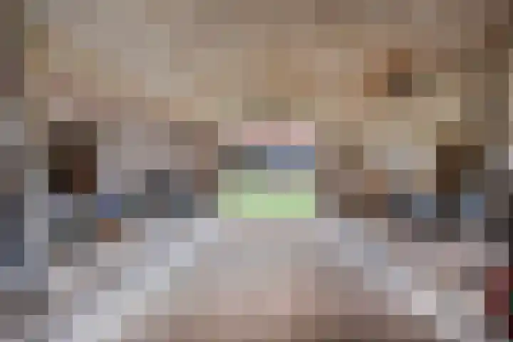 Weg naar het Ganzen Ei 10 Brummen thumbnail 11