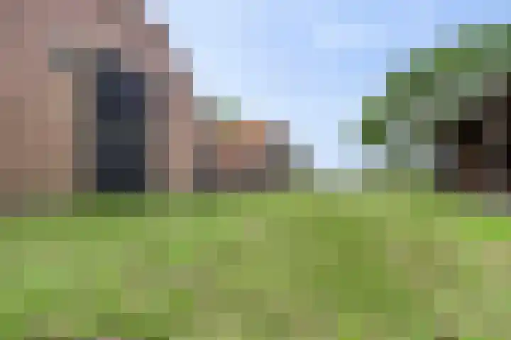 Weg naar het Ganzen Ei 10 Brummen thumbnail 13