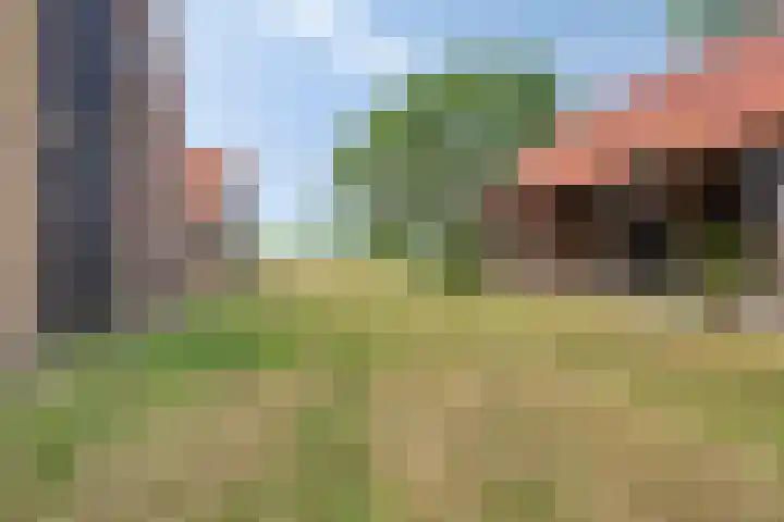 Weg naar het Ganzen Ei 10 Brummen thumbnail 15