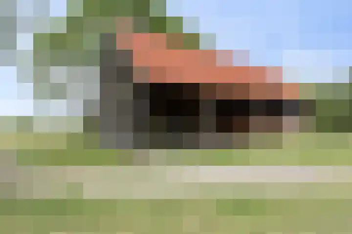 Weg naar het Ganzen Ei 10 Brummen thumbnail 16