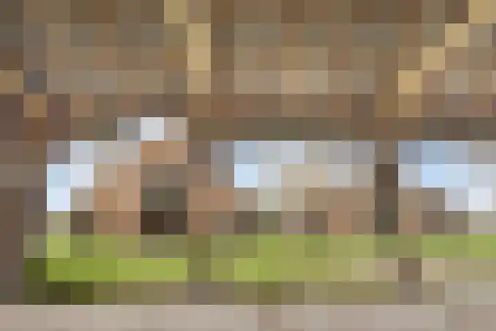 Weg naar het Ganzen Ei 10 Brummen thumbnail 17