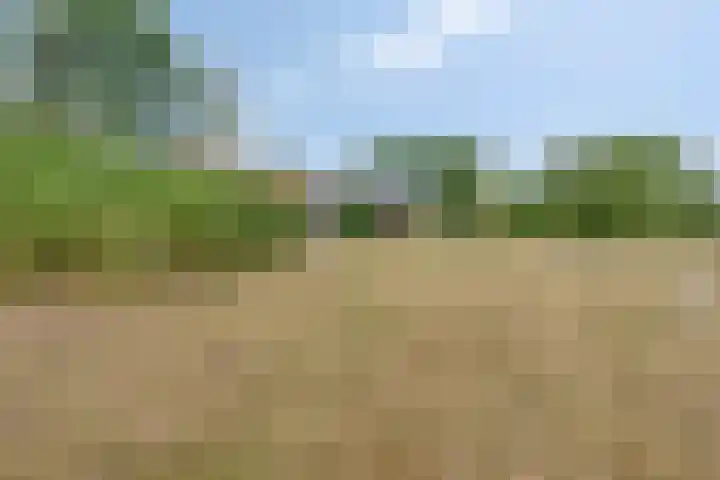 Weg naar het Ganzen Ei 10 Brummen thumbnail 18
