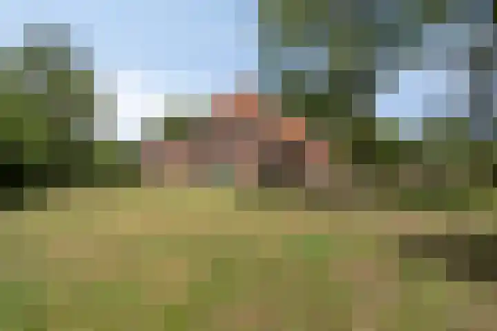 Weg naar het Ganzen Ei 10 Brummen foto 2