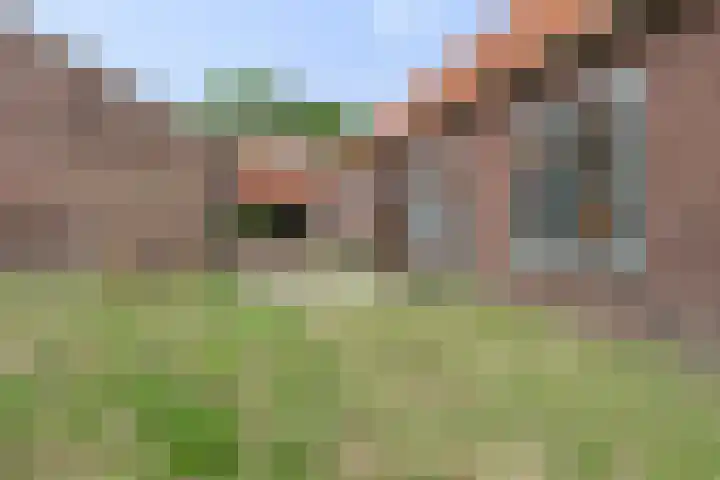 Weg naar het Ganzen Ei 10 Brummen thumbnail 20