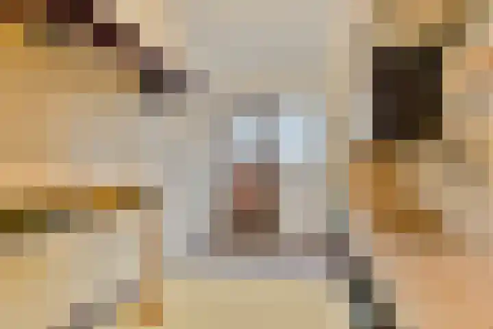 Weg naar het Ganzen Ei 10 Brummen thumbnail 23