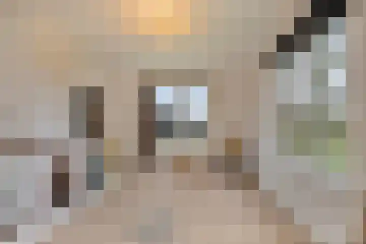 Weg naar het Ganzen Ei 10 Brummen thumbnail 24