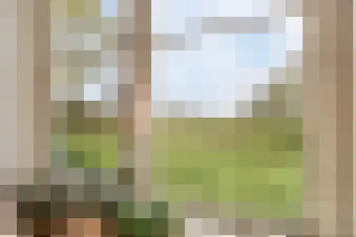 Weg naar het Ganzen Ei 10 Brummen thumbnail 26