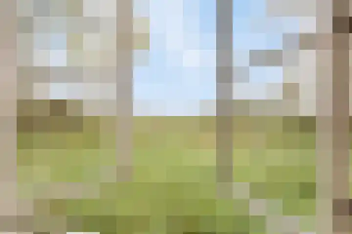 Weg naar het Ganzen Ei 10 Brummen thumbnail 27