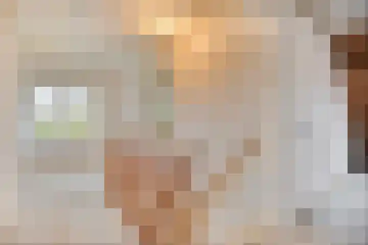Weg naar het Ganzen Ei 10 Brummen thumbnail 29