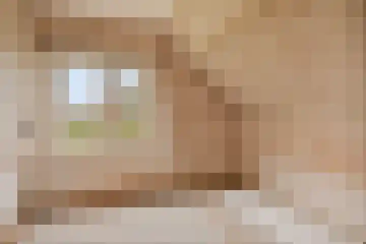 Weg naar het Ganzen Ei 10 Brummen thumbnail 30