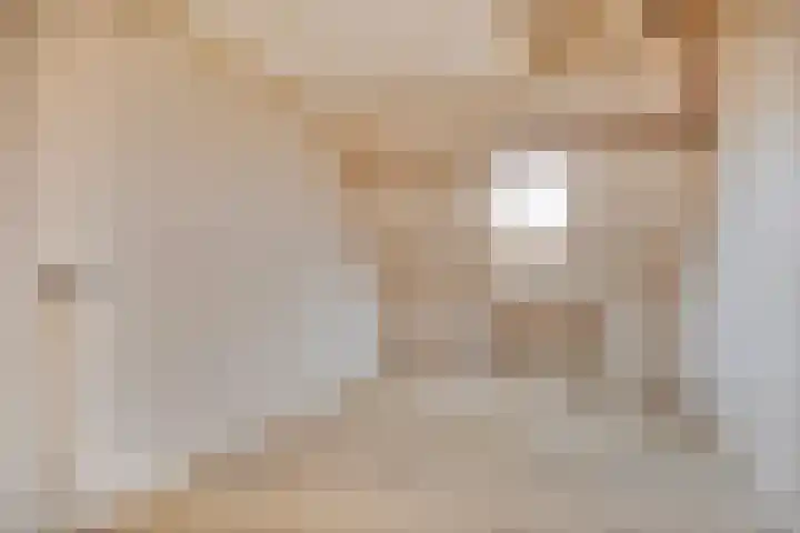 Weg naar het Ganzen Ei 10 Brummen thumbnail 32