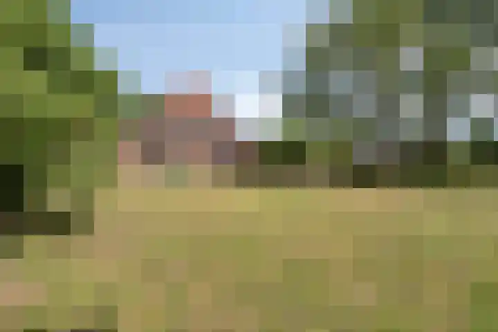 Weg naar het Ganzen Ei 10 Brummen thumbnail 34