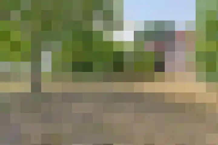 Weg naar het Ganzen Ei 10 Brummen thumbnail 35