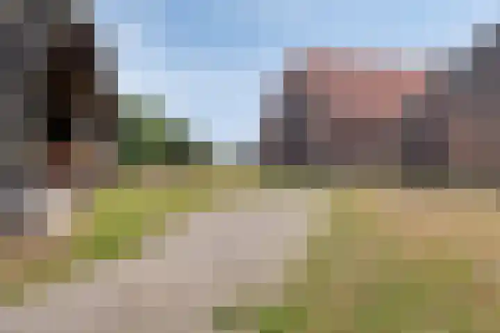 Weg naar het Ganzen Ei 10 Brummen thumbnail 37